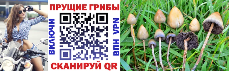 Галлюциногенные грибы мухоморы  kraken как войти  Аткарск 